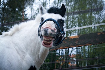 Påmeldingen for høstens kurs er åpnet!